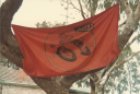 01-_RMITMCC_Banner.png