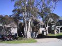 mt-hotham-241101-045.jpg