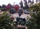 Filename=Koonoomoo.jpg
Filesize=165KiB
Dimensions=640x478
Date added=May 28, 2016 Koonoomoo.jpg