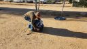 Filename=It_came_out_of_here.jpg
Filesize=680KiB
Dimensions=2048x1152
Date added=May 28, 2016 It_came_out_of_here.jpg